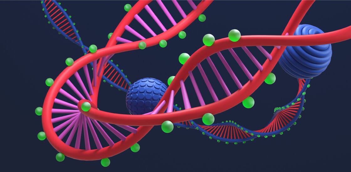 متیلاسیون DNA  در اختلال طیف اٌتیسم