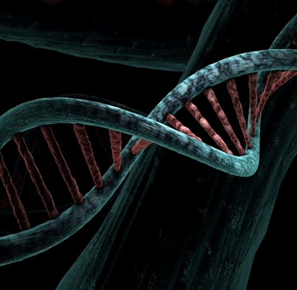 بزرگترین مطالعه توالی ژنوم در اتیسم، 134 ژن مرتبط با اتیسم را شناسایی نمود.