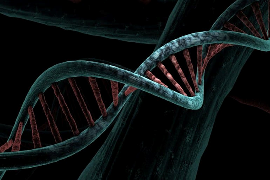 بزرگترین مطالعه توالی ژنوم در اتیسم، 134 ژن مرتبط با اتیسم را شناسایی نمود.